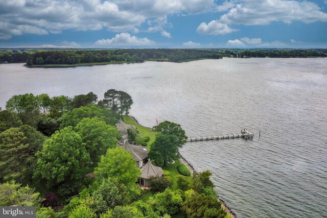 9791 Pintail Pl, Saint Michaels, MD 21663 - water view