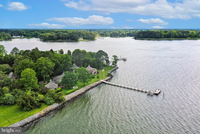 9791 Pintail Pl, Saint Michaels, MD 21663 - drone / aerial view of a nearby body of water