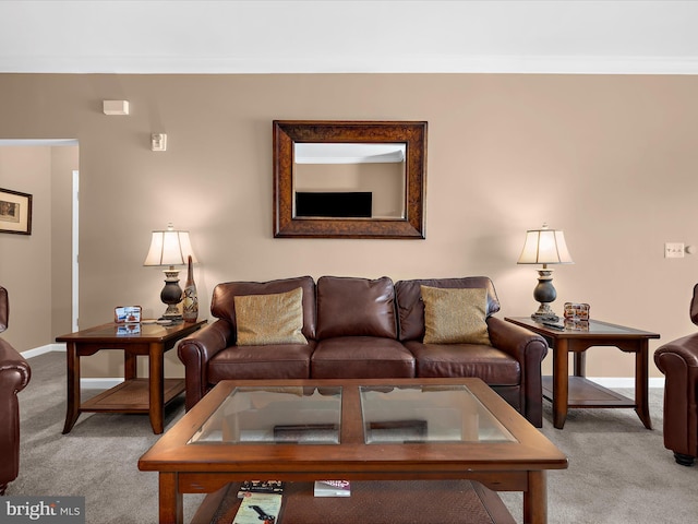 900 Marshy Cv Unit 111, Cambridge, MD 21613 - living area featuring light colored carpet, crown molding, and baseboards