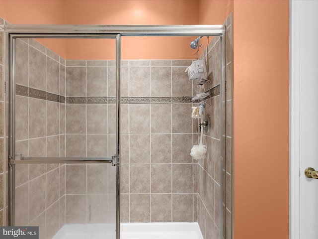 900 Marshy Cv Unit 111, Cambridge, MD 21613 - full bathroom featuring a stall shower