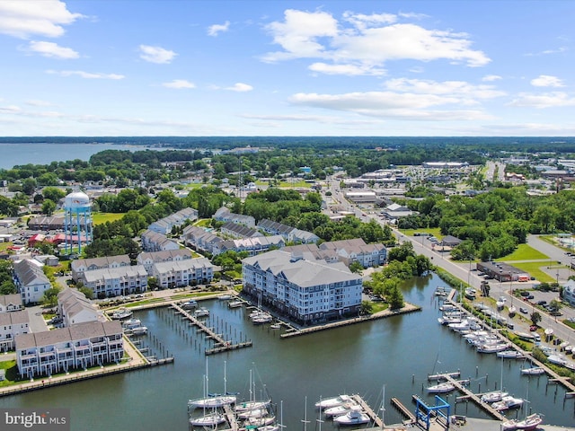 900 Marshy Cv Unit 111, Cambridge, MD 21613 - bird's eye view of numerous boat docks and a nearby body of water