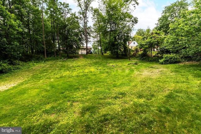 2410 Huntingdon Rd, Huntingdon Valley, PA 19006 - view of yard