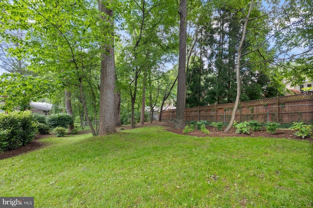 1515 Ainsley Rd, Silver Spring, MD 20904 - view of yard