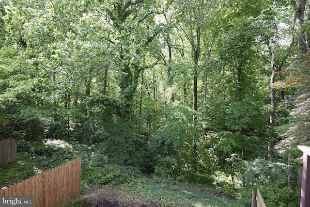 10893 Deborah Dr, Potomac, MD 20854 - view of tree filled area