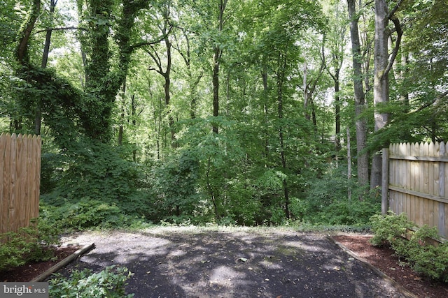 10893 Deborah Dr, Potomac, MD 20854 - view of yard featuring a forest view