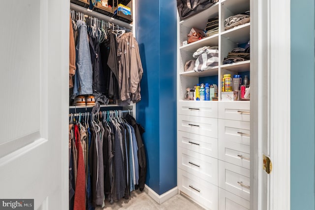 233 Windsor Ct, Quakertown, PA 18951 - view of walk in closet