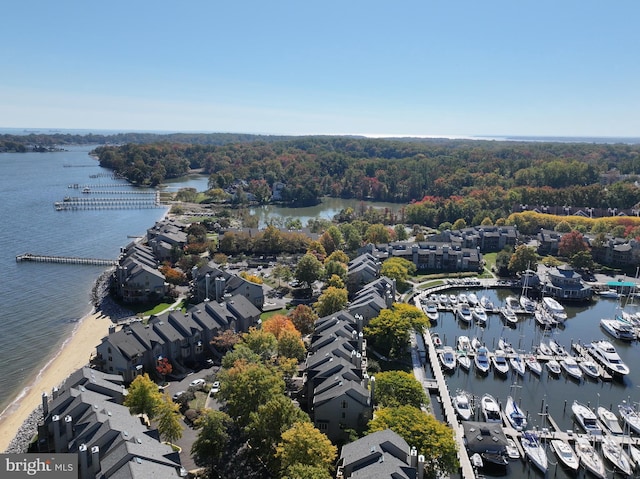 2186 Chesapeake Harbour Dr E, Annapolis, MD 21403 - aerial view of a marina and a nearby body of water