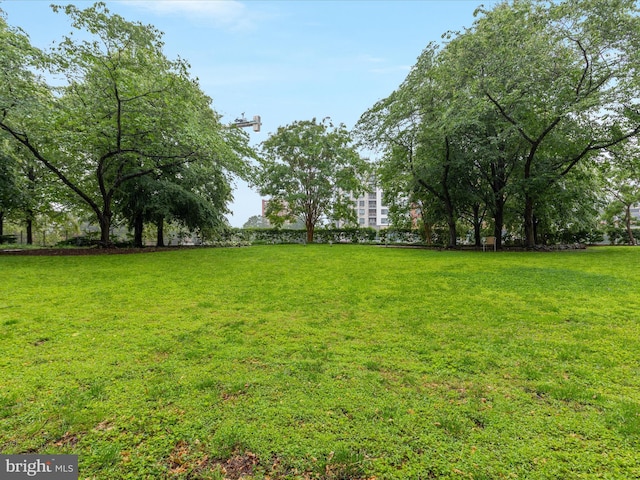 4141 N Henderson Rd N Unit 809, Arlington, VA 22203 - view of grassy yard