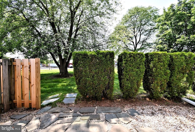 313 Christopher Ct, Lansdale, PA 19446 - view of yard