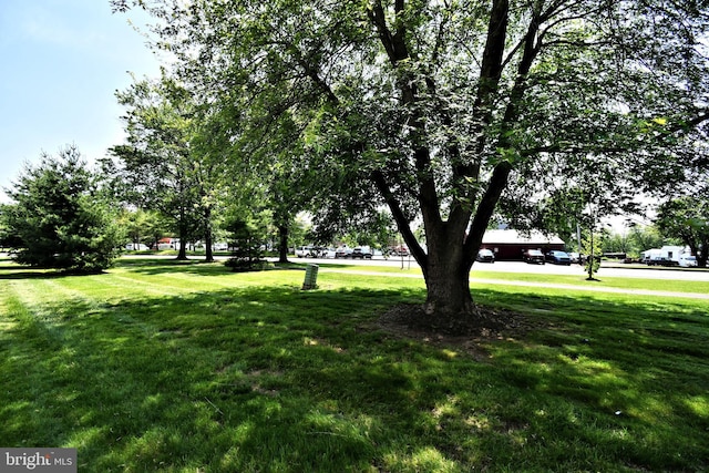 313 Christopher Ct, Lansdale, PA 19446 - view of green lawn