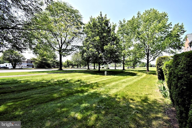 313 Christopher Ct, Lansdale, PA 19446 - view of grassy yard