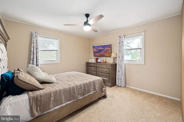 35 Holly Corner Rd, Fredericksburg, VA 22406 - carpeted bedroom with multiple windows, baseboards, ornamental molding, and a ceiling fan