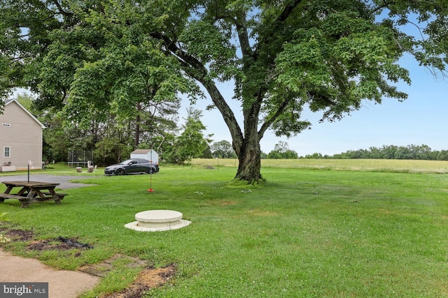 35 Holly Corner Rd, Fredericksburg, VA 22406 - view of grassy yard