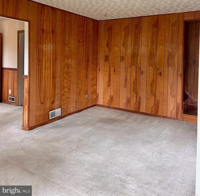 9733 Narragansett Pkwy, College Park, MD 20740 - carpeted empty room with wooden walls and a textured ceiling