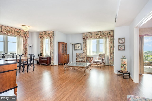 3801 Canterbury Rd Unit 817, Baltimore, MD 21218 - living room with wood finished floors