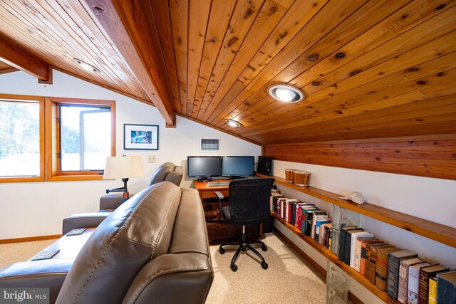105 Fern Creek Ln, Martinsburg, WV 25404 - office with carpet floors, wooden ceiling, and baseboards