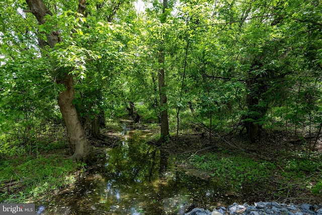 105 Fern Creek Ln, Martinsburg, WV 25404 - view of wooded area