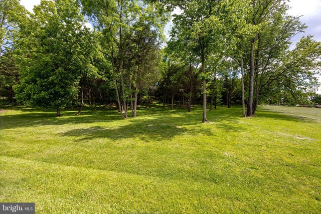 105 Fern Creek Ln, Martinsburg, WV 25404 - view of grassy yard