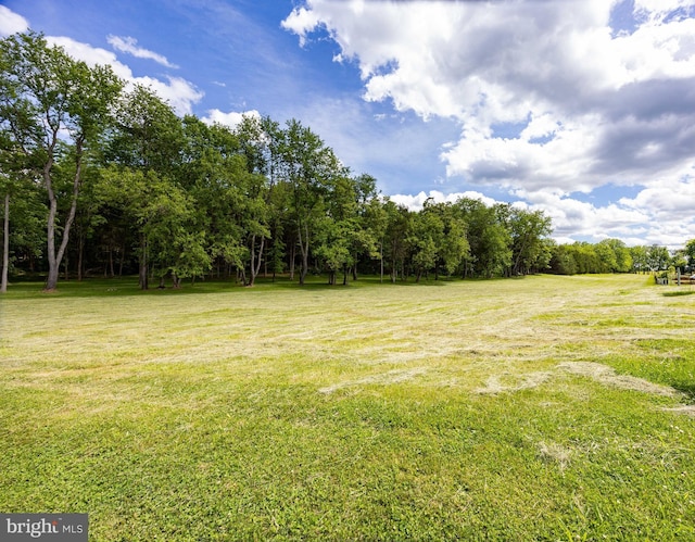 105 Fern Creek Ln, Martinsburg, WV 25404 - view of green lawn