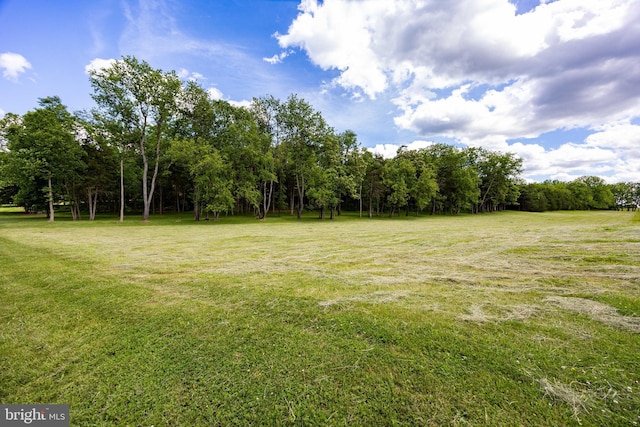 105 Fern Creek Ln, Martinsburg, WV 25404 - view of green lawn