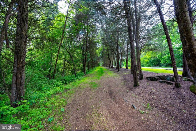 105 Fern Creek Ln, Martinsburg, WV 25404 - view of road with a wooded view