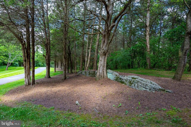 105 Fern Creek Ln, Martinsburg, WV 25404 - view of yard