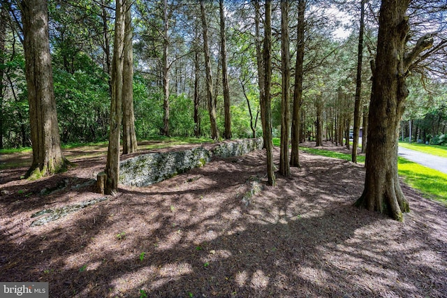 105 Fern Creek Ln, Martinsburg, WV 25404 - view of woods