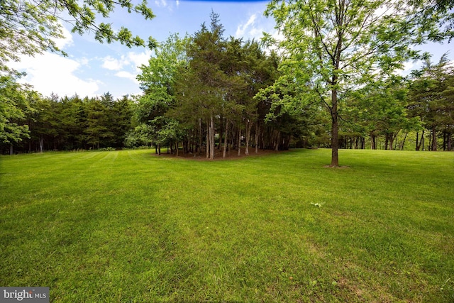 105 Fern Creek Ln, Martinsburg, WV 25404 - view of grassy yard