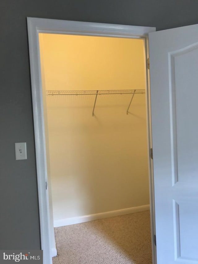 1111 11th St NW Unit 307, Washington, DC 20001 - spacious closet with carpet floors