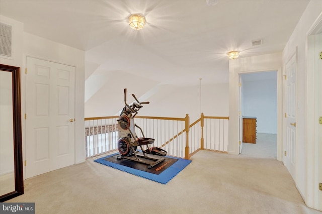 259 Prospect Cir Unit 8, Shrewsbury, PA 17361 - exercise room with carpet