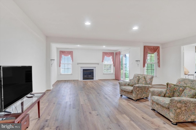 259 Prospect Cir Unit 8, Shrewsbury, PA 17361 - living area with a premium fireplace, plenty of natural light, light wood-style floors, and recessed lighting