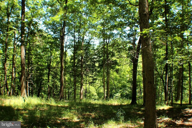 4587 Trough Rd, Moorefield, WV 26836