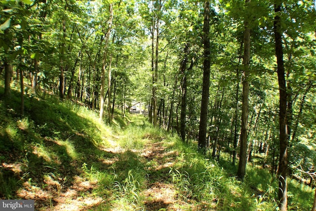 4587 Trough Rd, Moorefield, WV 26836