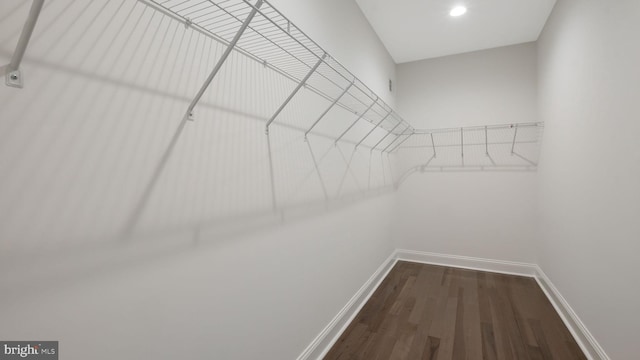 7804 Ardleigh St, Philadelphia, PA 19118 - walk in closet with dark wood finished floors