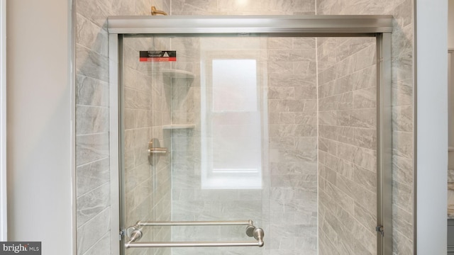 7804 Ardleigh St, Philadelphia, PA 19118 - bathroom featuring a shower stall