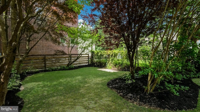 7804 Ardleigh St, Philadelphia, PA 19118 - view of yard