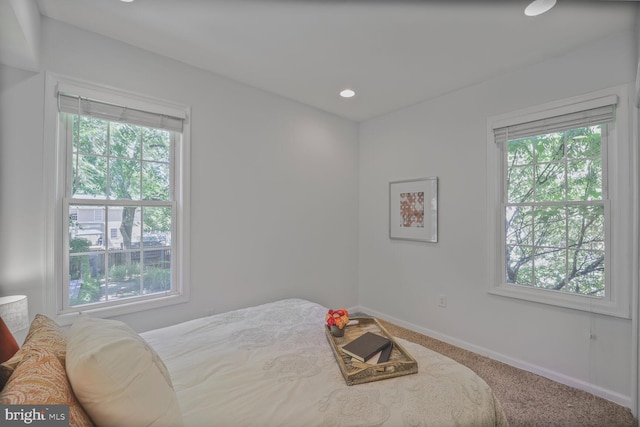 3404 Shepherd St, Mount Rainier, MD 20712 - bedroom with multiple windows, carpet flooring, and baseboards
