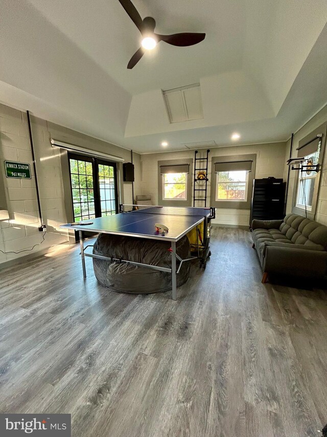 1408 Riverview Ave, Wilmington, DE 19806 - rec room with a raised ceiling, wood finished floors, ceiling fan, and lofted ceiling