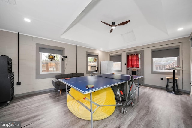 1408 Riverview Ave, Wilmington, DE 19806 - playroom with plenty of natural light, wood finished floors, ceiling fan, a tray ceiling, and recessed lighting
