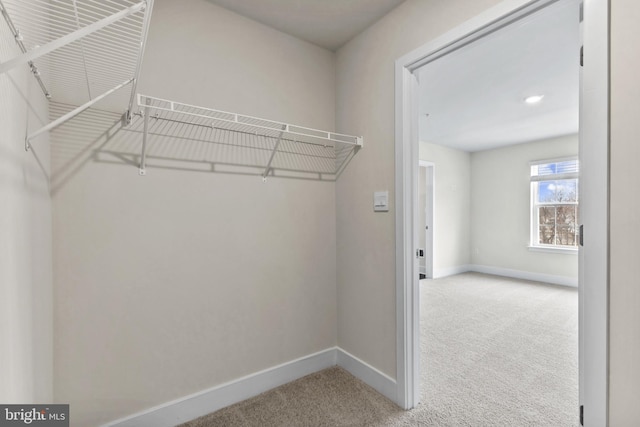 10604 Meridian Hill Way, Upper Marlboro, MD 20772 - walk in closet with carpet
