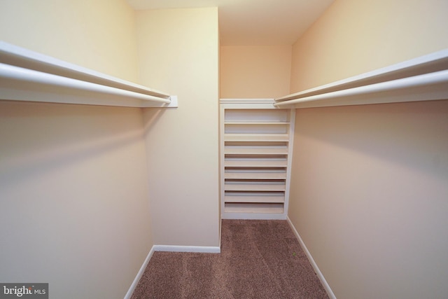 1206 Orchard Cir, Salisbury, MD 21801 - walk in closet featuring carpet