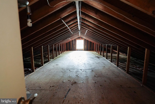 1206 Orchard Cir, Salisbury, MD 21801 - view of attic