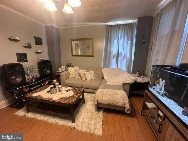 202 N Penn St, York, PA 17401 - living area with light wood-style floors, ornamental molding, and a chandelier