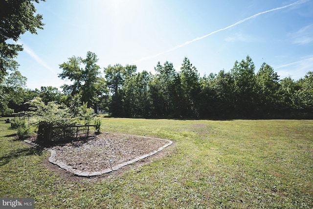 2570 Hickman Ln, Nanticoke, MD 21840 - view of green lawn