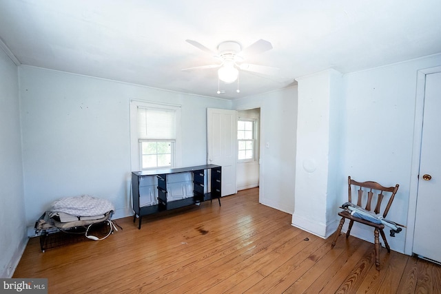2570 Hickman Ln, Nanticoke, MD 21840 - spare room featuring light wood-style floors, ceiling fan, and ornamental molding