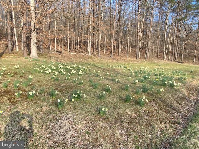 1367 Ed Arnold Rd, Augusta, WV 26704 - view of nature