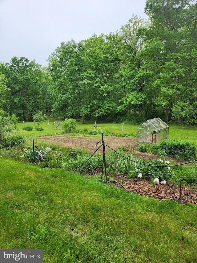 1367 Ed Arnold Rd, Augusta, WV 26704 - view of green lawn featuring an exterior structure, an outbuilding, and a view of trees