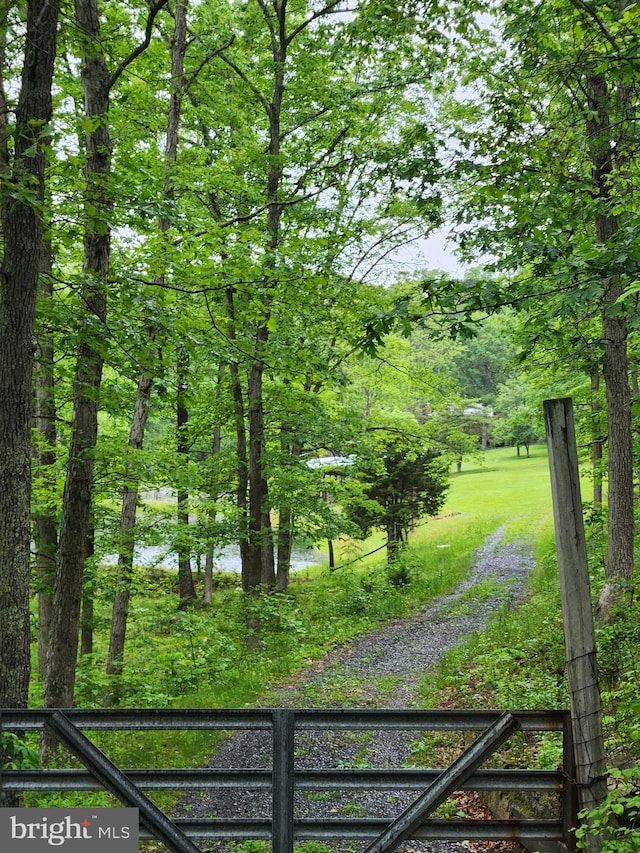 1367 Ed Arnold Rd, Augusta, WV 26704 - view of yard featuring a water view