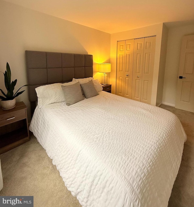 14926 Dunvegan Ct, Silver Spring, MD 20906 - bedroom featuring a closet and carpet