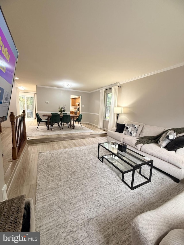 14926 Dunvegan Ct, Silver Spring, MD 20906 - living area featuring light wood-type flooring, crown molding, and baseboards